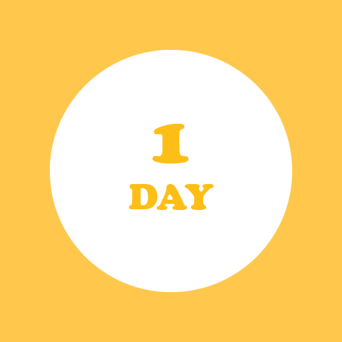 1 Day for Wired Event