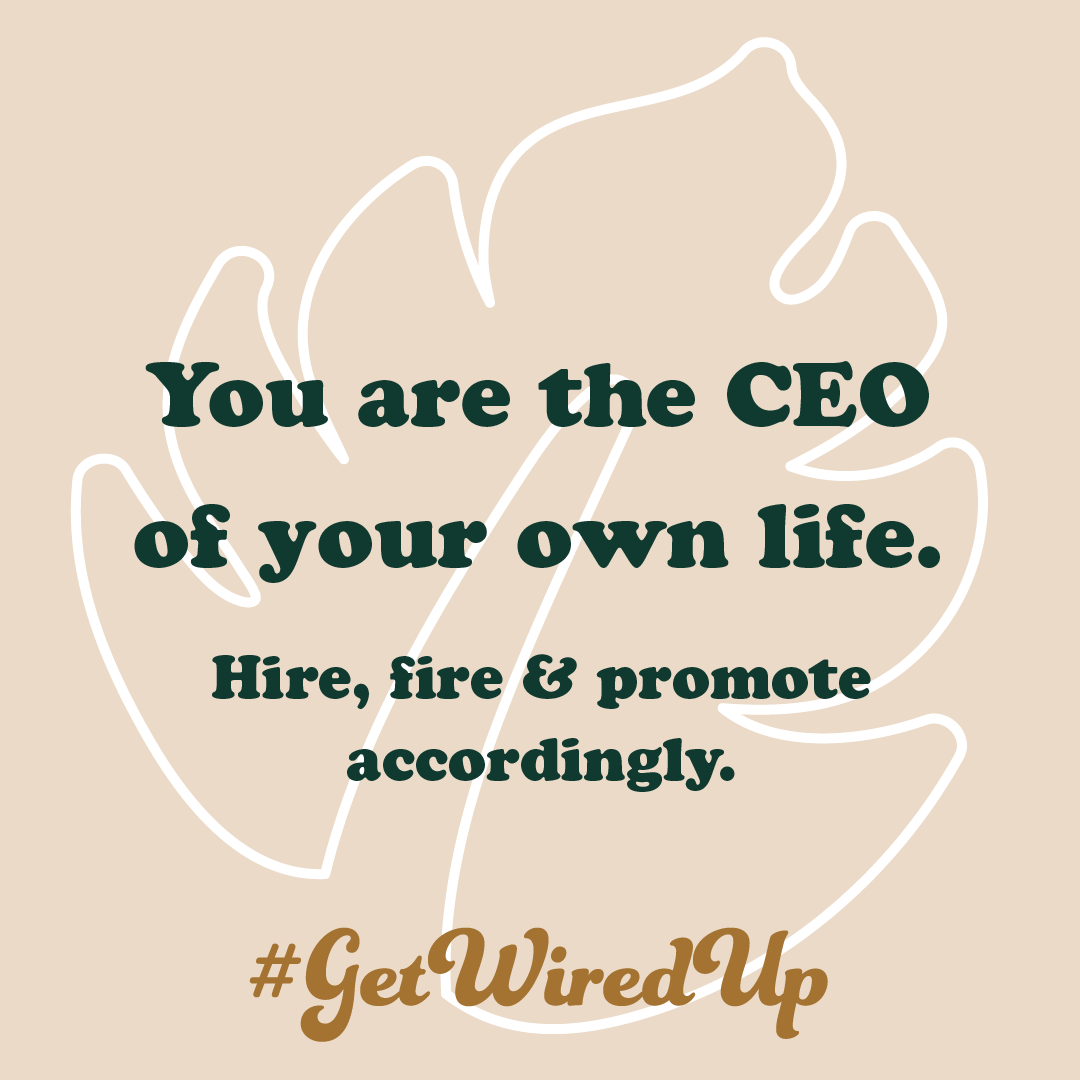 You are the CEO