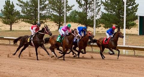 2016 Day at the Races - Horse races