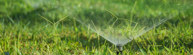 Water Restriction