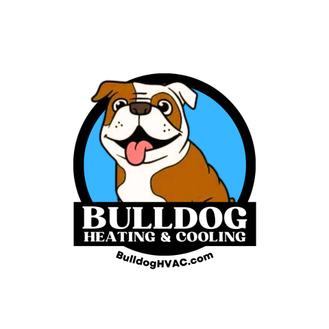 bull dog