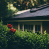 house_with_flower_square.png